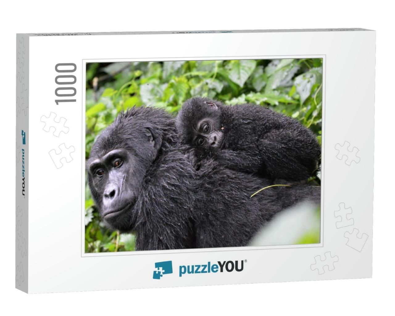 Baby Gorilla Laying on Mums Back in Bwindi Impenetrable F... Jigsaw Puzzle with 1000 pieces