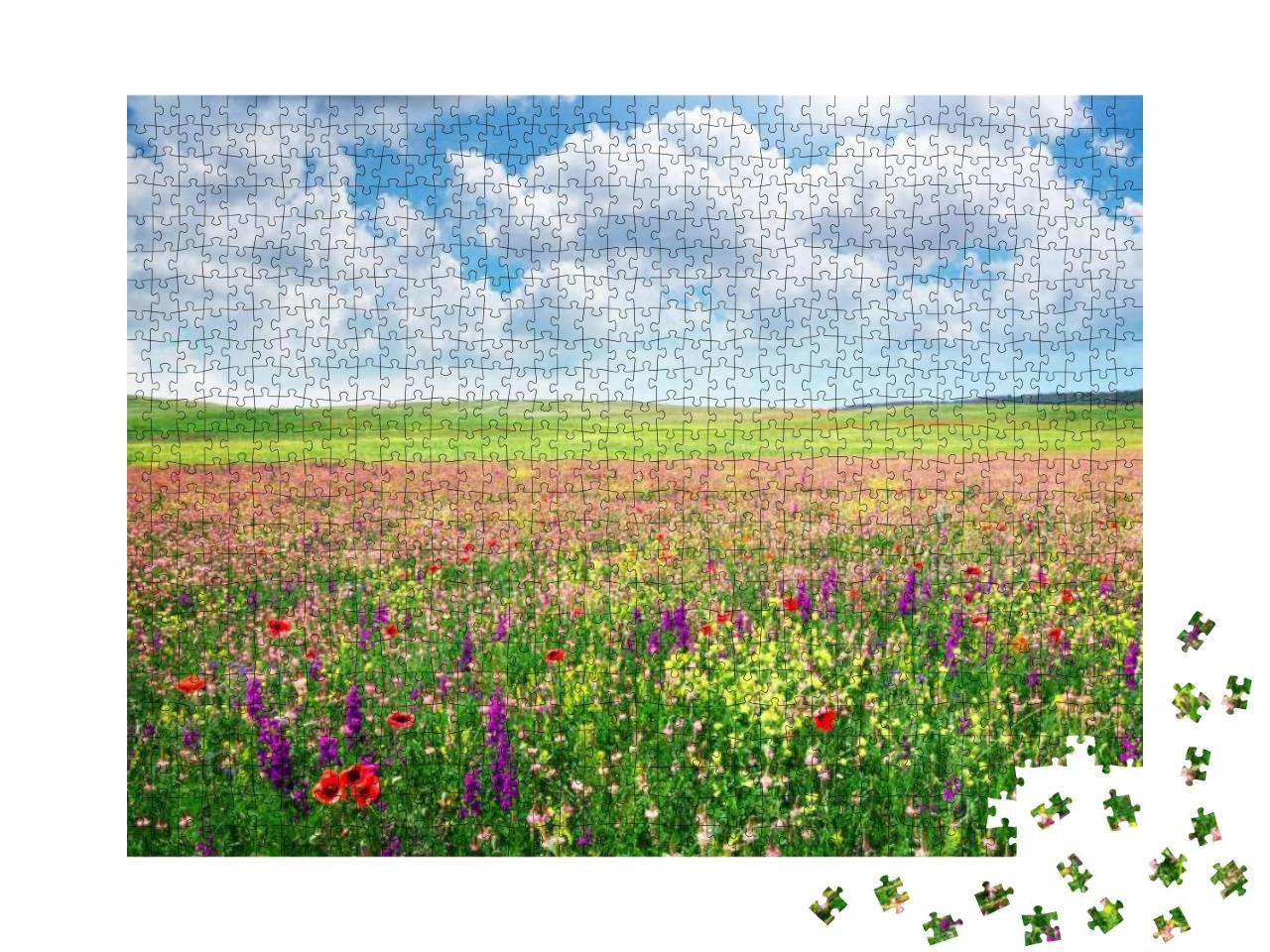 Spring Flower Meadow. Composition of Nature... Jigsaw Puzzle with 1000 pieces