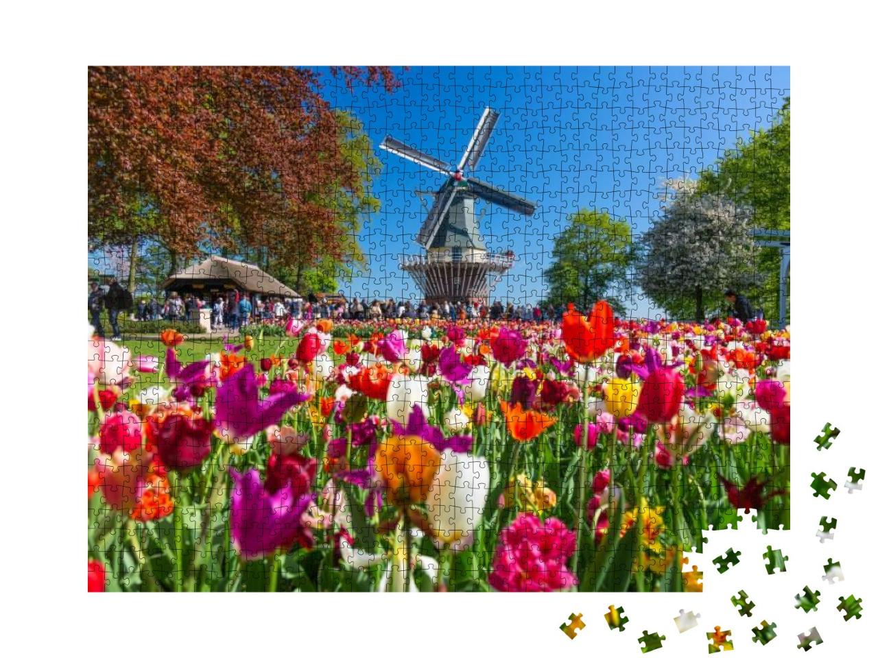 Blooming Colorful Tulips Flowerbed in Public Flower Garde... Jigsaw Puzzle with 1000 pieces