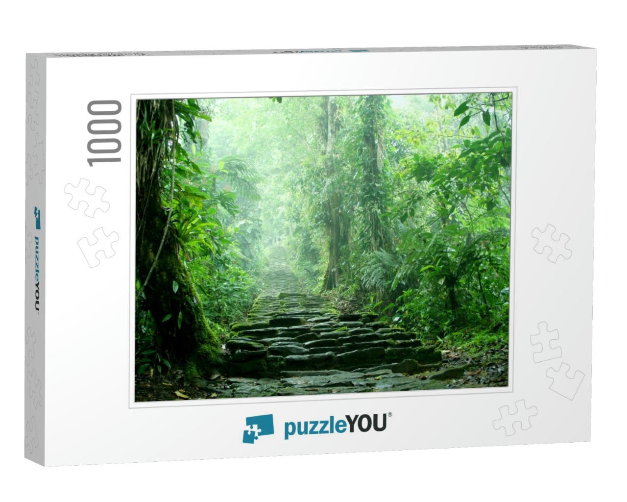 Hidden Staircase Deep in the Colombian Jungle Belonging t... Jigsaw Puzzle with 1000 pieces
