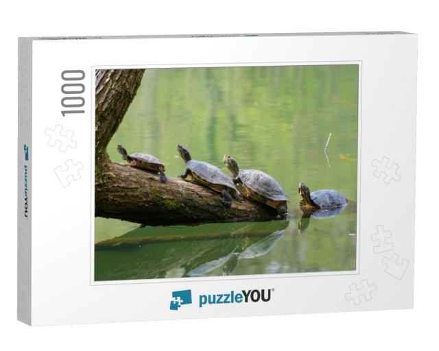 Four Turtles on a Trunk... Jigsaw Puzzle with 1000 pieces