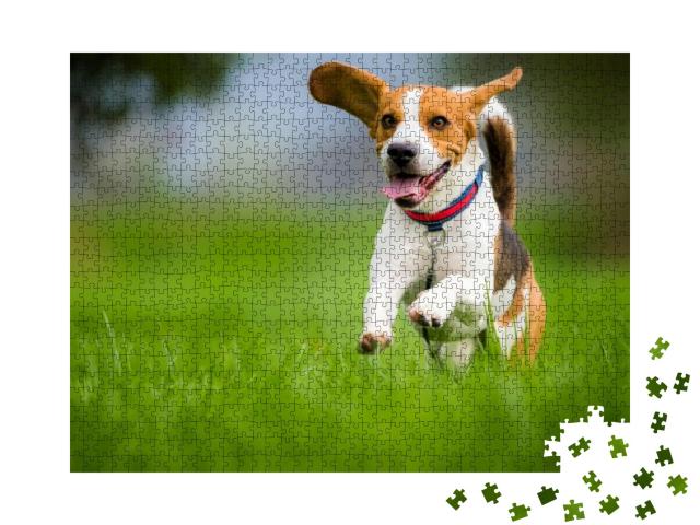 Dog Beagle Running & Jumping with Tongue Out Through Gree... Jigsaw Puzzle with 1000 pieces
