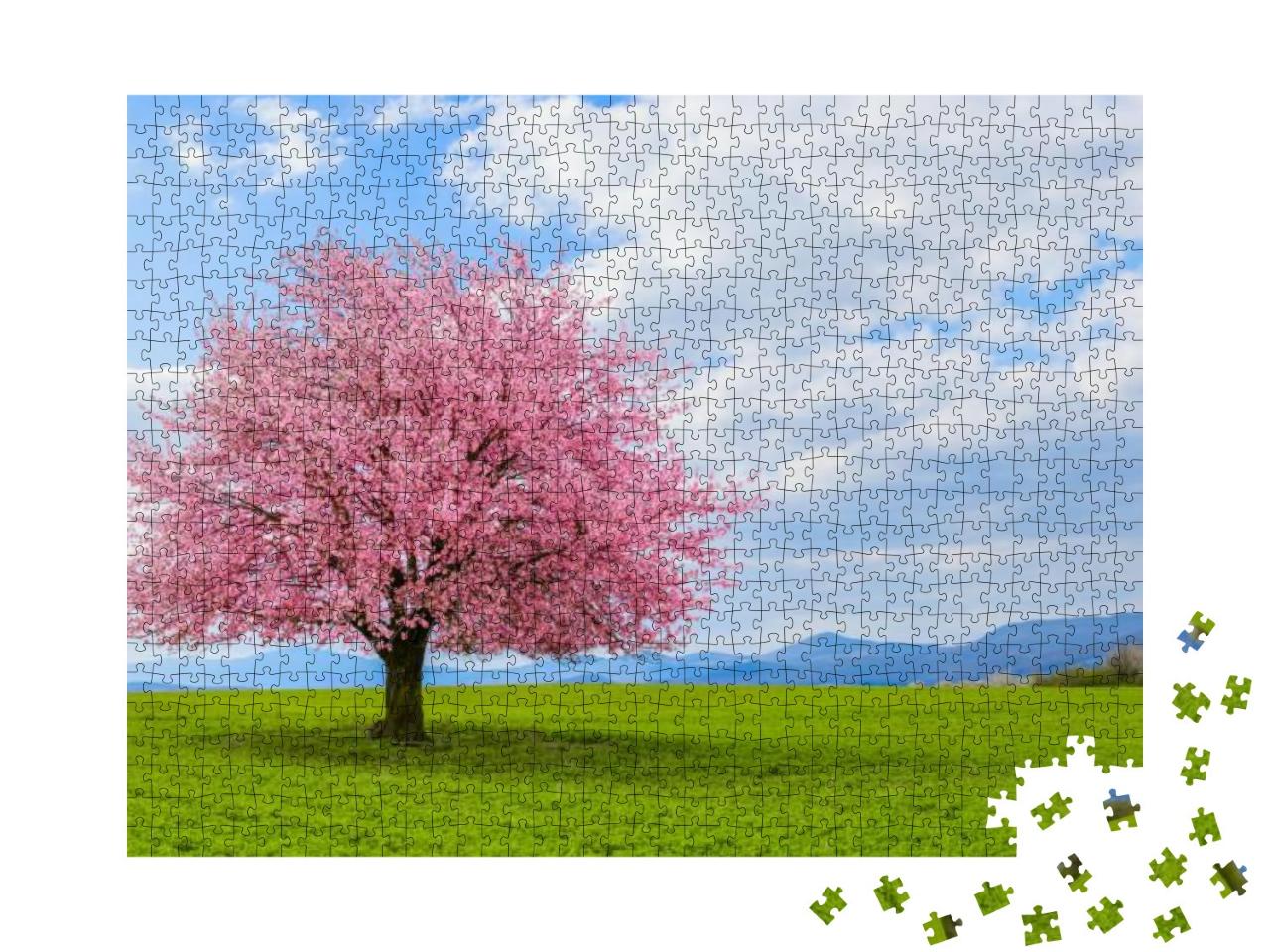 Spring Time in Nature with Blooming Tree. Blossoming Cher... Jigsaw Puzzle with 1000 pieces