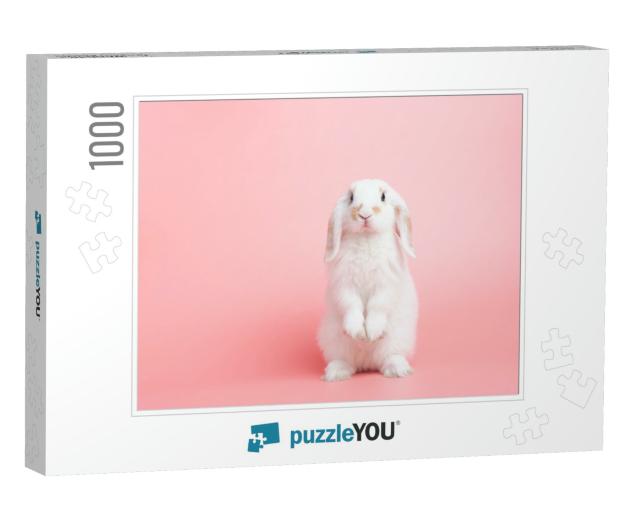 Front View of White Cute Baby Holland Lop Rabbit Standing... Jigsaw Puzzle with 1000 pieces