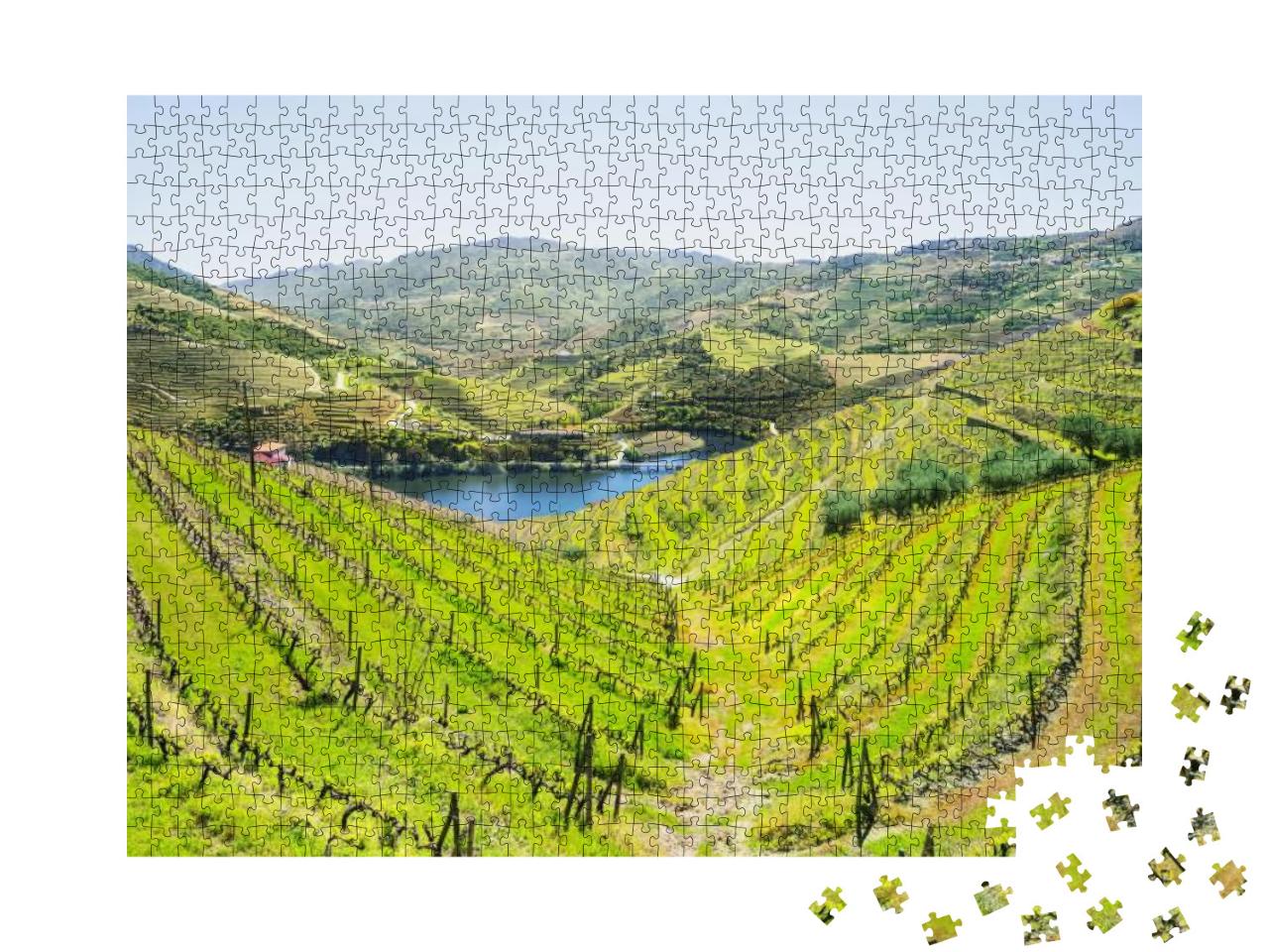 Douro Valley. Vineyards & Landscape Near Pinhao, Portugal... Jigsaw Puzzle with 1000 pieces