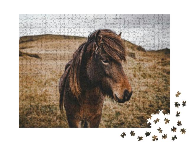 Northern Iceland Horses Walking & Walking Quietly Through... Jigsaw Puzzle with 1000 pieces
