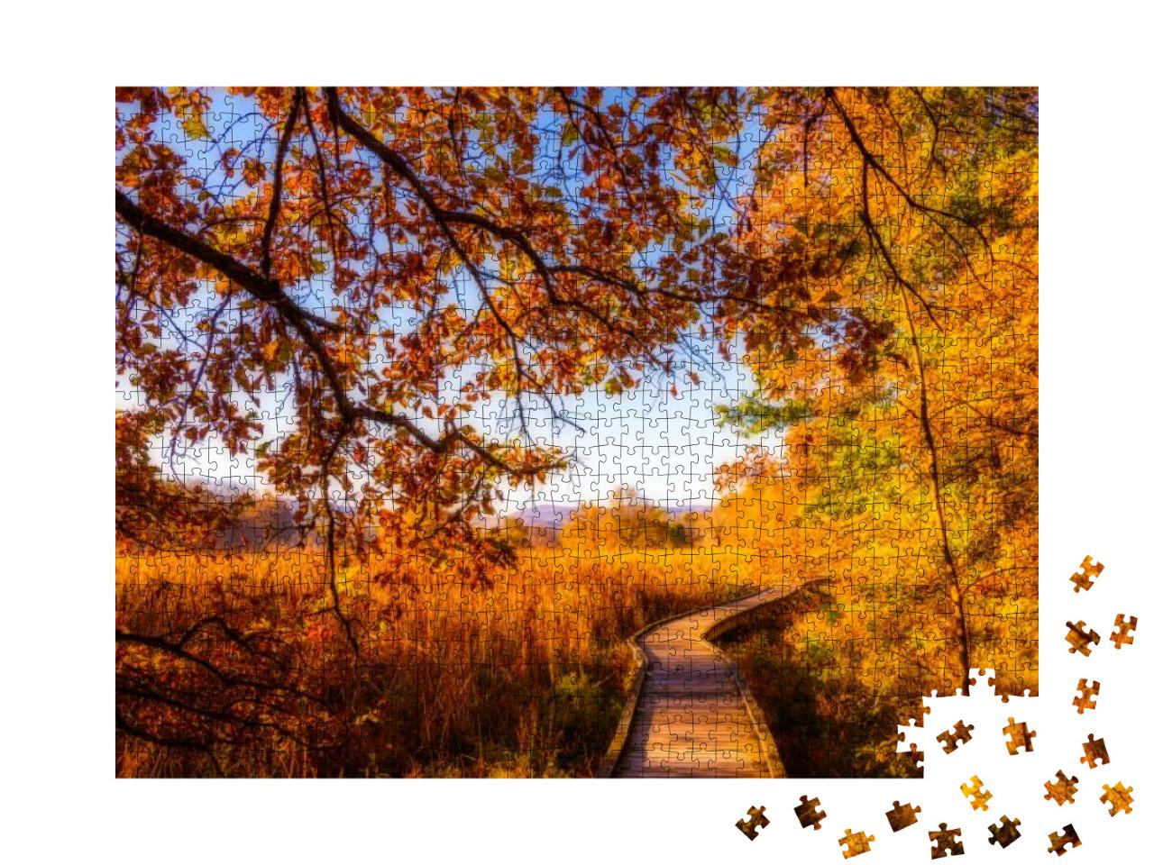 Beautiful Morning Over the Boardwalk in Wawayanda State P... Jigsaw Puzzle with 1000 pieces