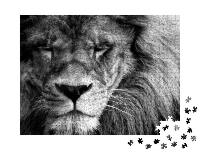 Portrait of a Beautiful Lion in Black & White... Jigsaw Puzzle with 1000 pieces