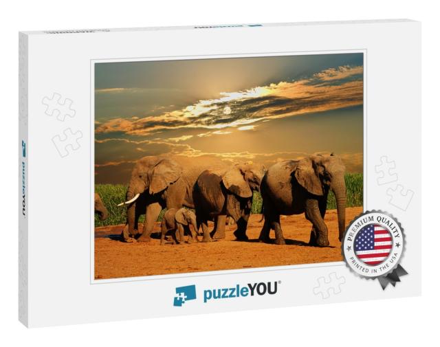 African Elephant Herd, Loxodonta Africana, of Different A... Jigsaw Puzzle
