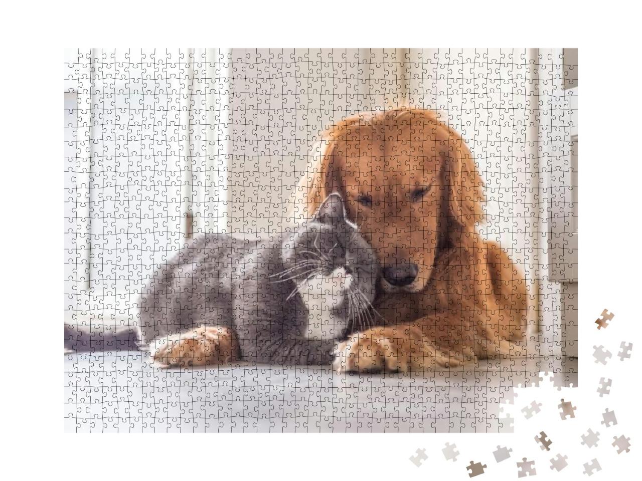 British Cat & Golden Retriever... Jigsaw Puzzle with 1000 pieces