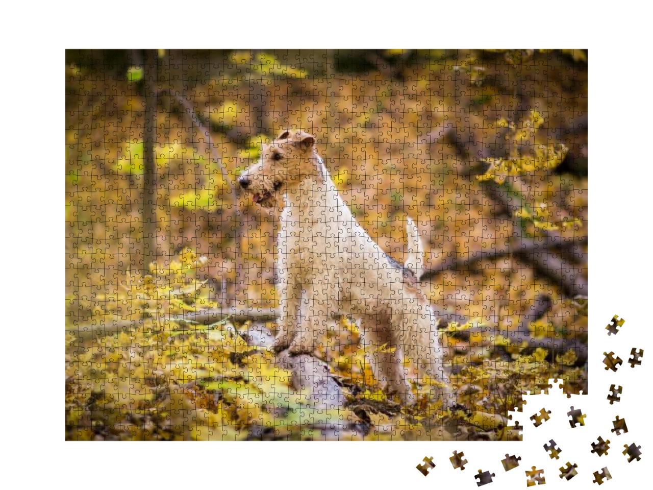 Wire-Haired Fox Terrier Autumn... Jigsaw Puzzle with 1000 pieces