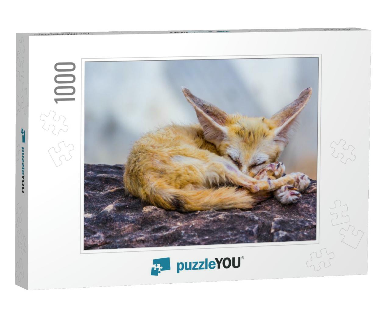 Small Fennec Fox Sleeping, Nature... Jigsaw Puzzle with 1000 pieces