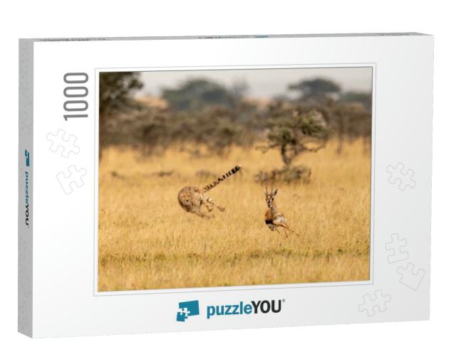 Cheetah Chasing Thomson Gazelle Among Whistling Thorns... Jigsaw Puzzle with 1000 pieces