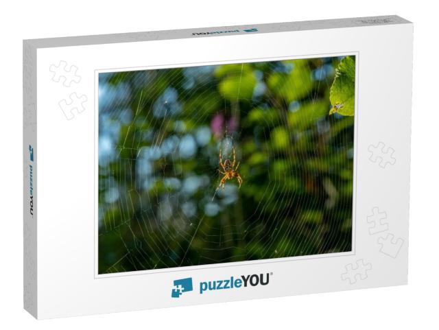 Detailed Close Up of a Large Garden Spider or Cross Spide... Jigsaw Puzzle