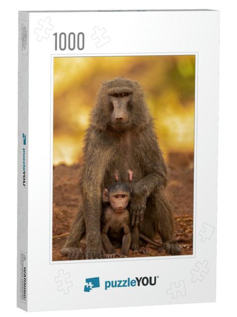 Olive Baboons Family & Behavior Portrait. the Amazing Rel... Jigsaw Puzzle with 1000 pieces