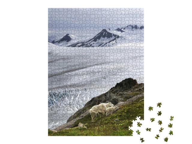 Mountain Goat on the Exit Glacier, Akasaka, Usa... Jigsaw Puzzle with 1000 pieces