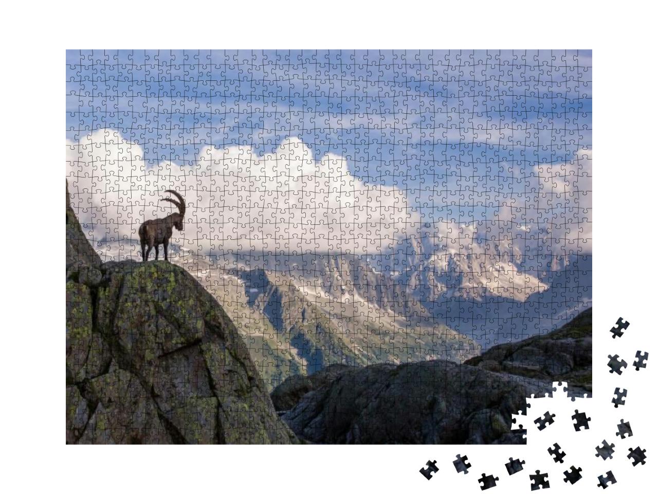 Wild Ibex in Front of Iconic Mont-Blanc Mountain Range on... Jigsaw Puzzle with 1000 pieces