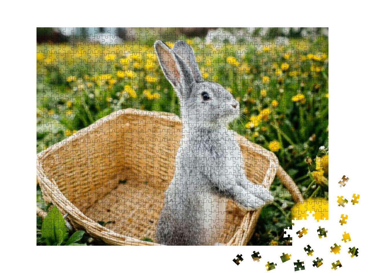 Gray Rabbit in the Garden in the Basket... Jigsaw Puzzle with 1000 pieces