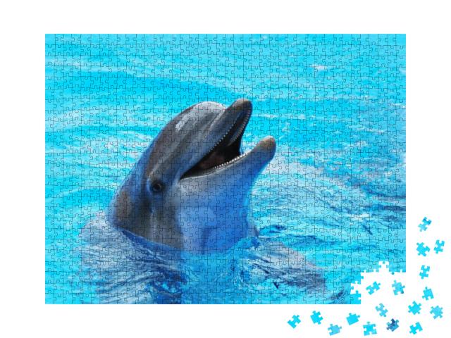 Dolphins Swim in the Pool... Jigsaw Puzzle with 1000 pieces