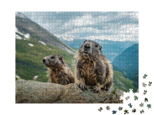 Two Marmots & a Beautiful View Near Grossglockner... Jigsaw Puzzle with 1000 pieces