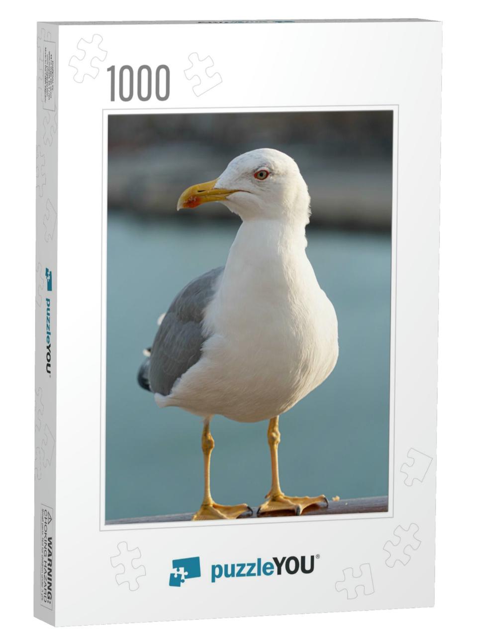 Gull Seagull Ocean Gull Bird Fly Bird... Jigsaw Puzzle with 1000 pieces