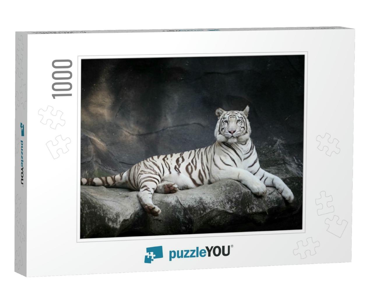 White Tiger... Jigsaw Puzzle with 1000 pieces