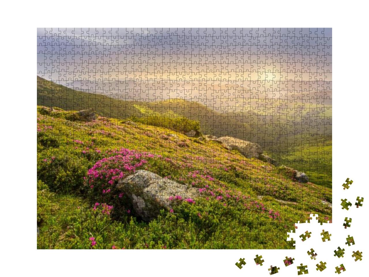 Spring Landscape in Mountains with Flower of a Rhododendr... Jigsaw Puzzle with 1000 pieces
