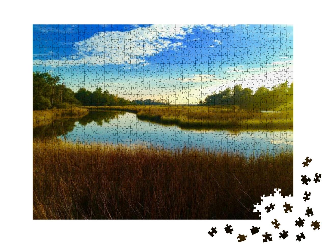 Mississippi Bayou... Jigsaw Puzzle with 1000 pieces