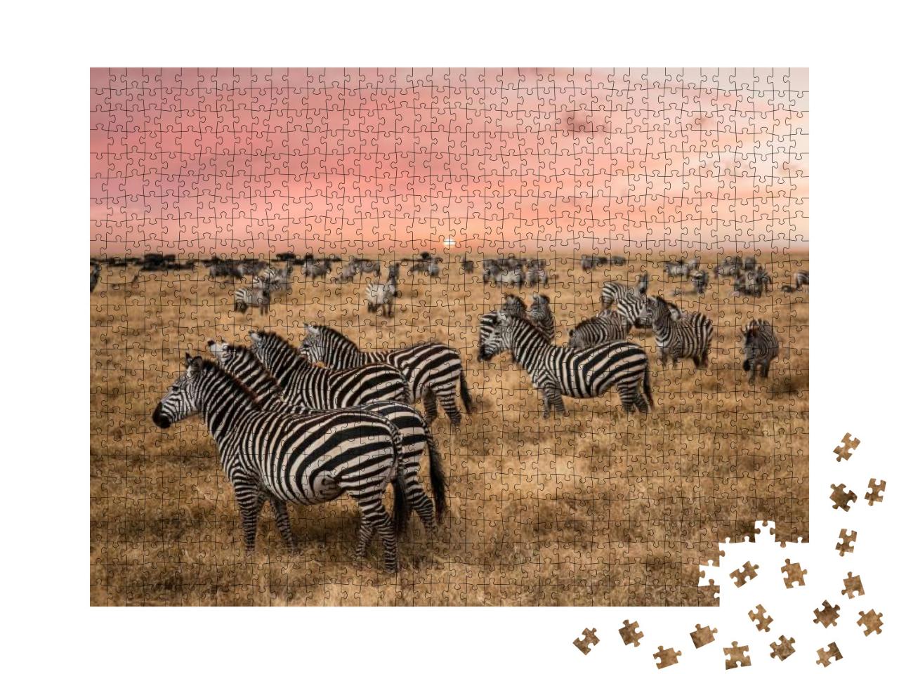 Zebras At Serengeti National Park... Jigsaw Puzzle with 1000 pieces