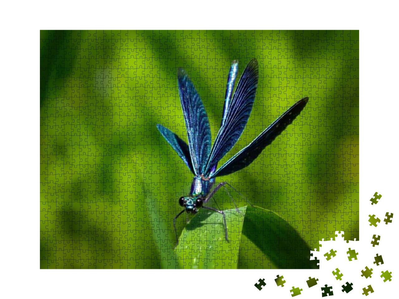 Dragonfly on a Green Leaf... Jigsaw Puzzle with 1000 pieces