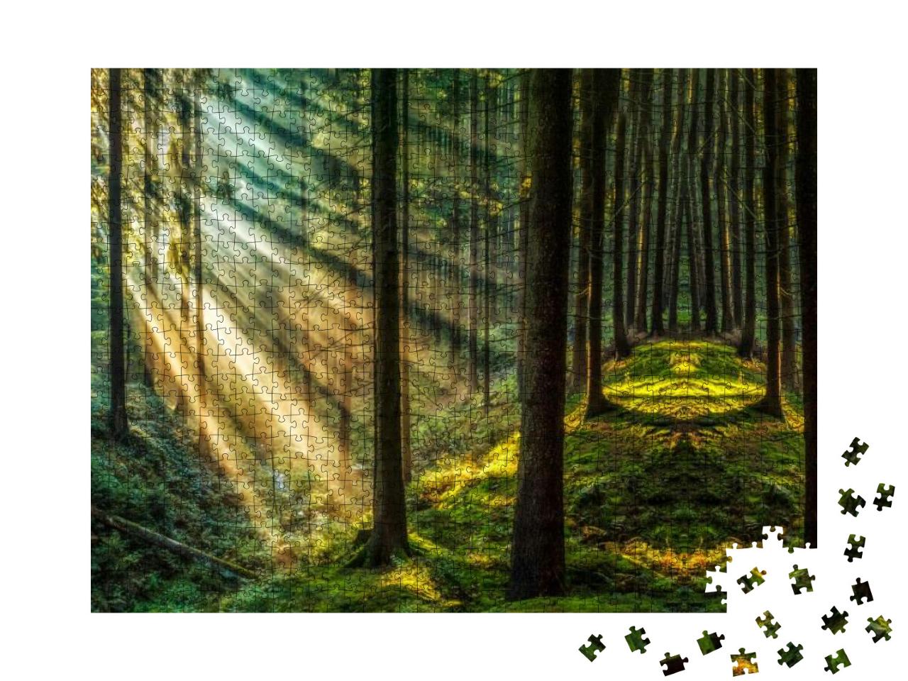 Dark Forest Sunlight Woodland Landscape... Jigsaw Puzzle with 1000 pieces