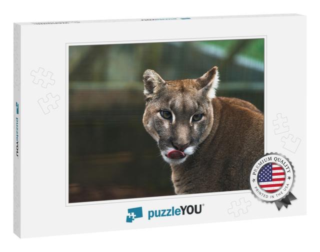 Puma Puma Concolor, a Large Cat Mainly Found in... Jigsaw Puzzle