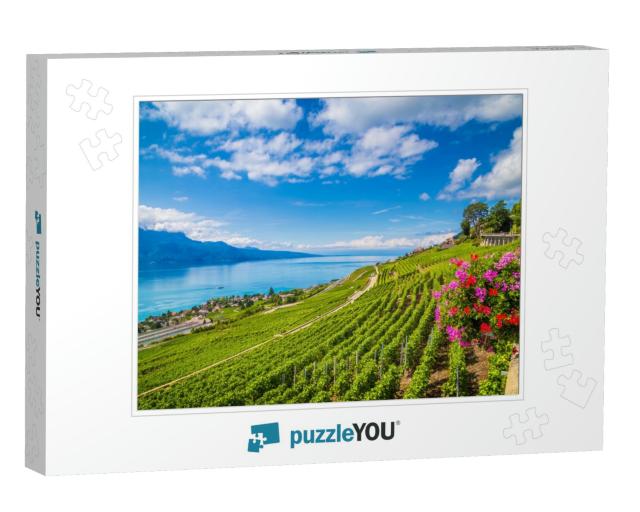 Beautiful Scenery with Rows of Vineyard Terraces in Famou... Jigsaw Puzzle