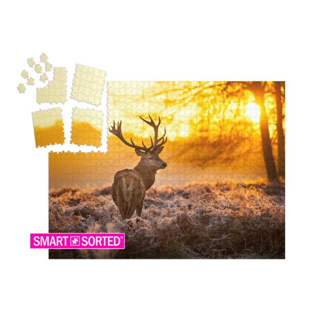 Red Deer in Morning Sun... | SMART SORTED® | Jigsaw Puzzle with 1000 pieces