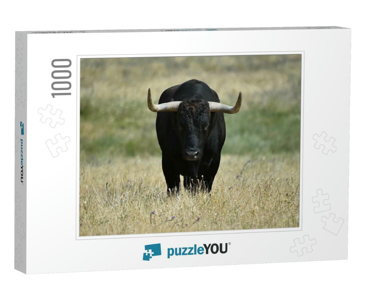 A Black Bull with Big Horns on the Field... Jigsaw Puzzle with 1000 pieces