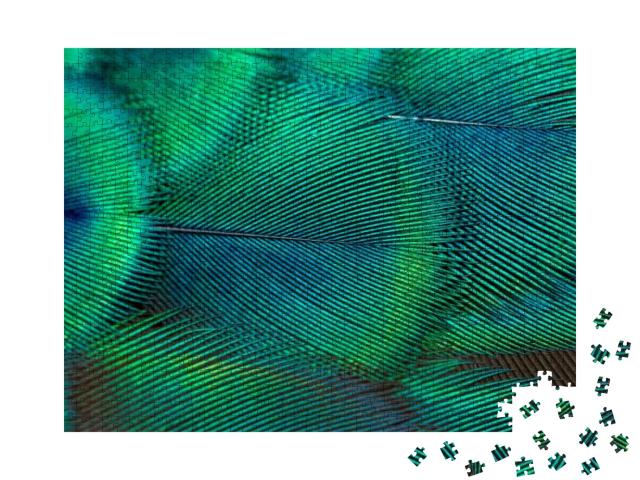 Peacock Feathers in Closeup... Jigsaw Puzzle with 1000 pieces
