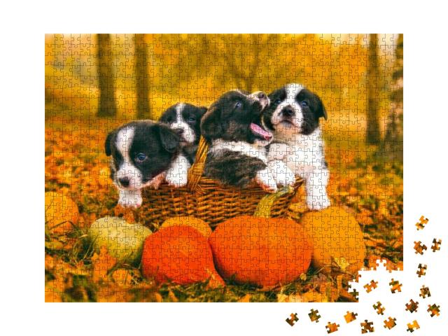 Funny Happy Welsh Corgi Pembroke Puppies Dogs Posing in t... Jigsaw Puzzle with 1000 pieces
