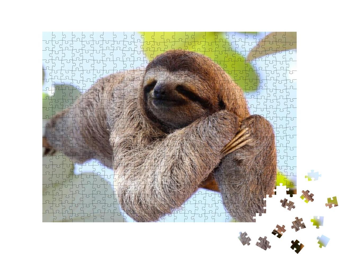 Happy Sloth Hanging on the Tree... Jigsaw Puzzle with 500 pieces