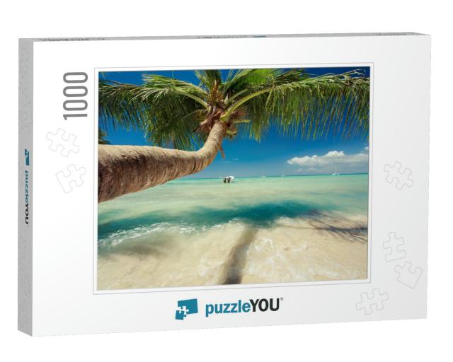 Beautiful Palm Tree Over Caribbean Sea... Jigsaw Puzzle with 1000 pieces