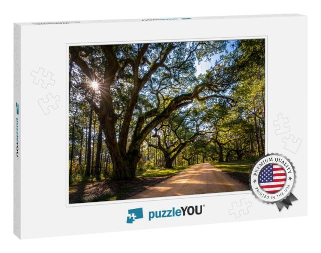 Live Oak Trees Grow Rapidly When They Are Young. These Tr... Jigsaw Puzzle