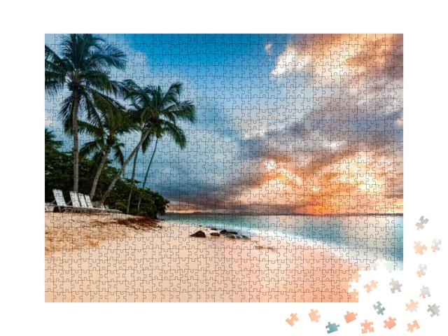 Exotic Long Exposure Seascape with Palm Trees At Sunset... Jigsaw Puzzle with 1000 pieces