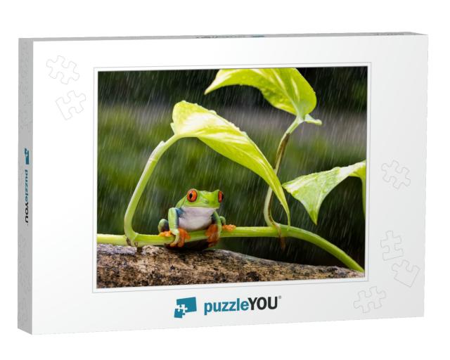 Red Eye Tree Frog Sitting Below the Green Leave During He... Jigsaw Puzzle
