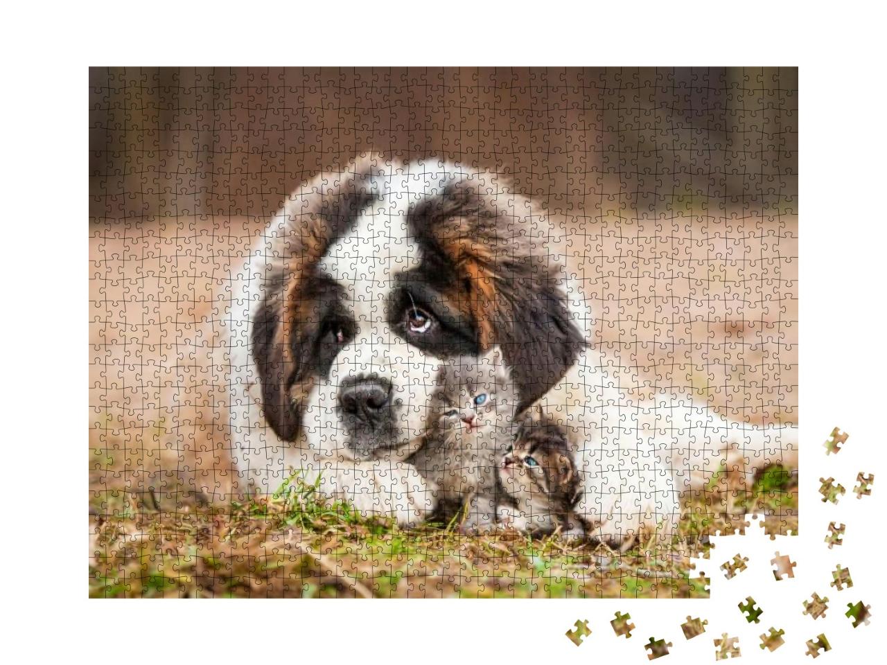 Saint Bernard Puppy with Little Kittens... Jigsaw Puzzle with 1000 pieces