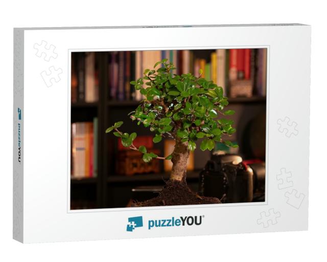 High Quality Photo, Bonsai Tree in the Study, Background... Jigsaw Puzzle