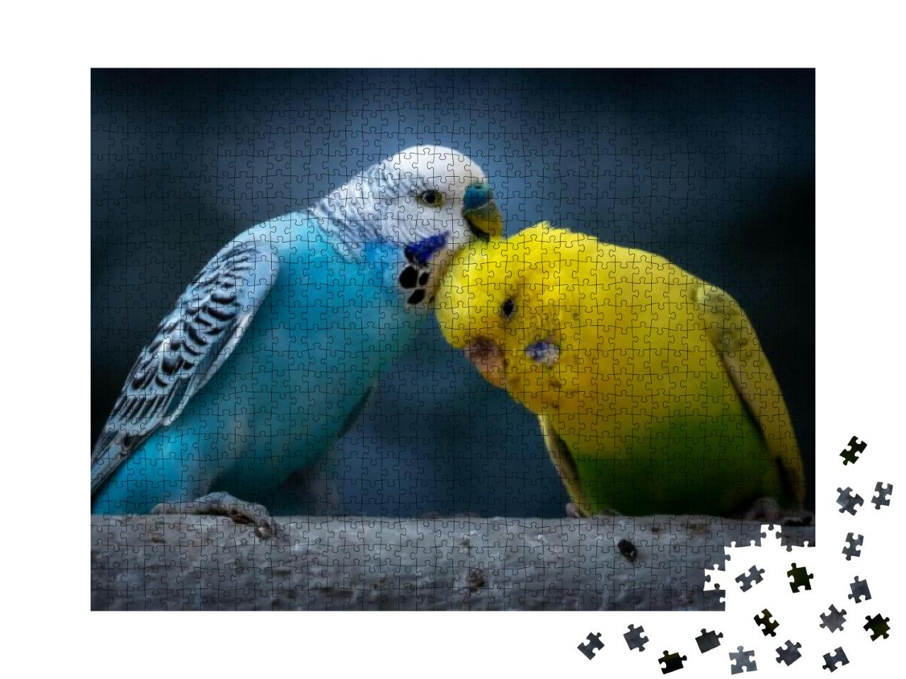 Portrait of a Blue Budgie & Yellow Green Budgie Melopsitt... Jigsaw Puzzle with 1000 pieces