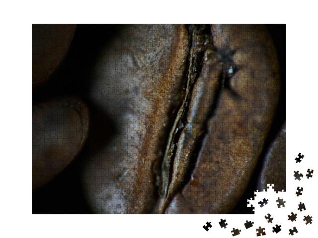 Closeup Shot of Coffee Bean. Background, Texture... Jigsaw Puzzle with 1000 pieces