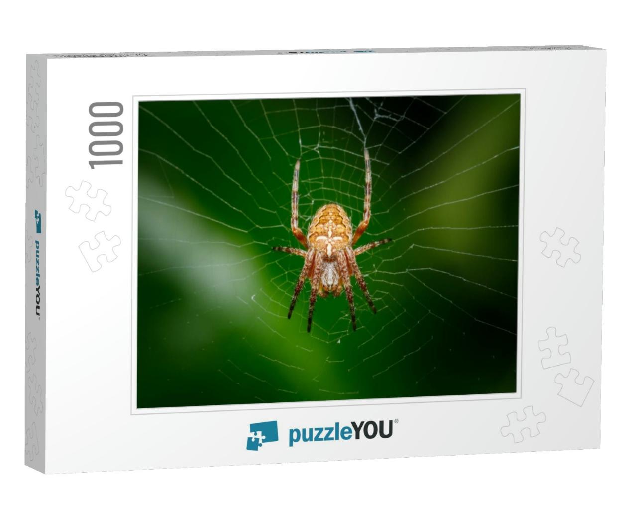 Closeup on a Cross Spider, Also Called European Garden Sp... Jigsaw Puzzle with 1000 pieces