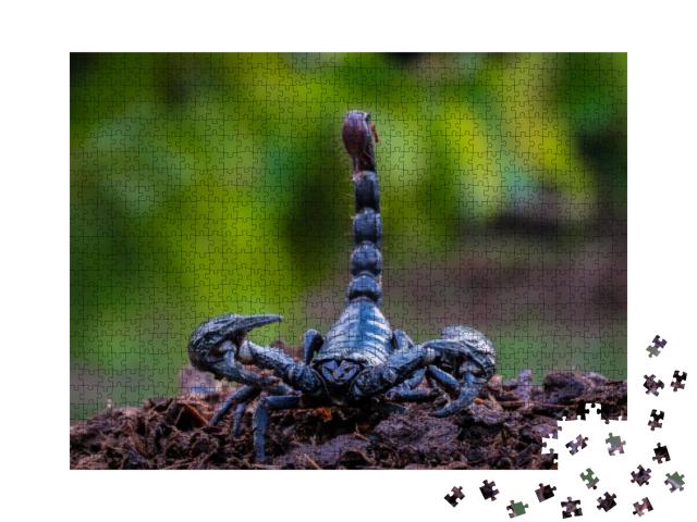 The Black Orc Scorpion, the Deadly Giant Scorpion Searche... Jigsaw Puzzle with 1000 pieces