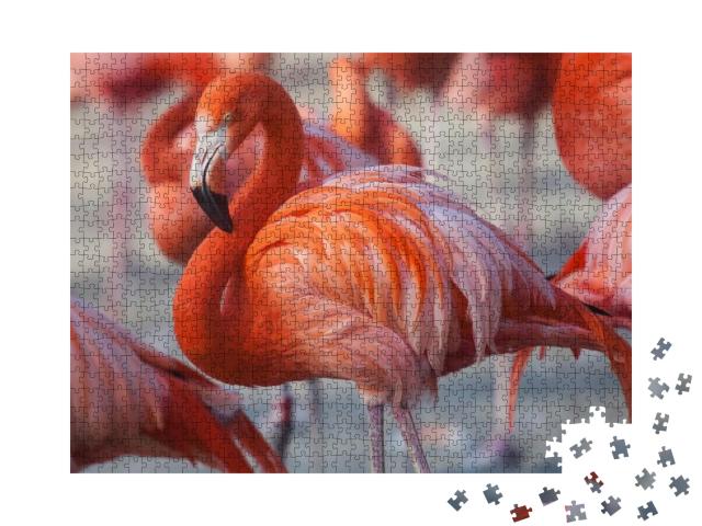 Flock of Pink Caribbean Flamingos in Water... Jigsaw Puzzle with 1000 pieces