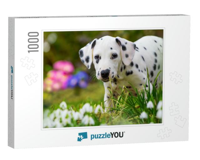 Dalmatian Puppy with Spring Flowers... Jigsaw Puzzle with 1000 pieces